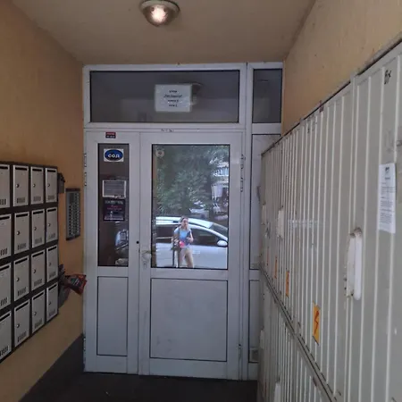 арт мира Veliko Tarnovo